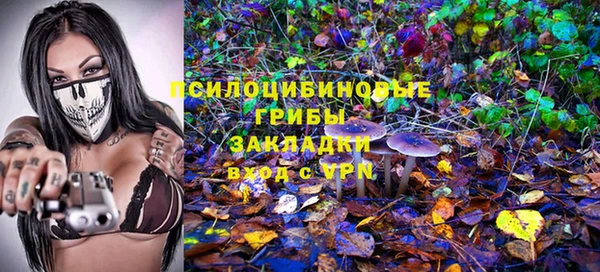 2c-b Протвино